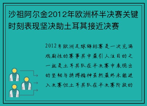 沙祖阿尔金2012年欧洲杯半决赛关键时刻表现坚决助土耳其接近决赛