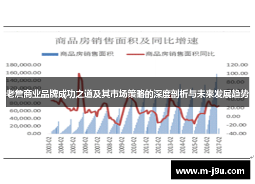 老詹商业品牌成功之道及其市场策略的深度剖析与未来发展趋势