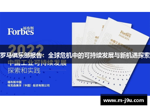 罗马俱乐部报告：全球危机中的可持续发展与新机遇探索
