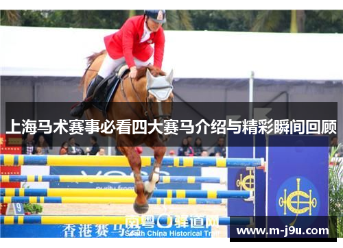 上海马术赛事必看四大赛马介绍与精彩瞬间回顾