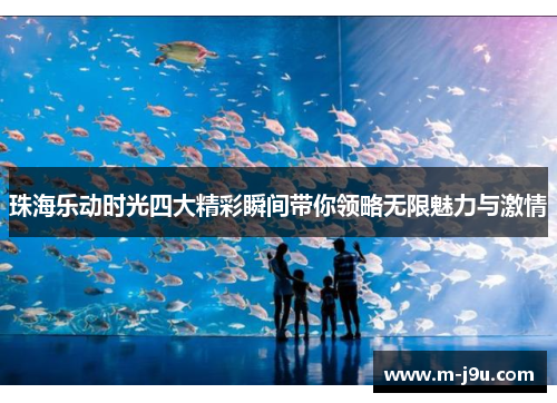 珠海乐动时光四大精彩瞬间带你领略无限魅力与激情