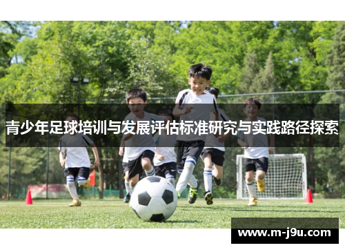青少年足球培训与发展评估标准研究与实践路径探索 青少年足球培训与发展评估标准研究与实践路径探索