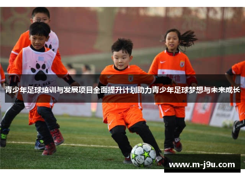 青少年足球培训与发展项目全面提升计划助力青少年足球梦想与未来成长 青少年足球培训与发展项目全面提升计划助力青少年足球梦想与未来成长