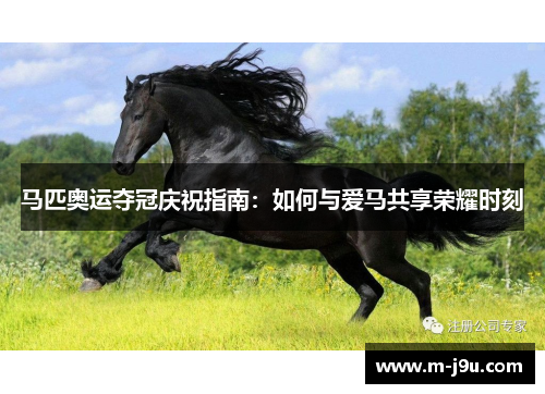 马匹奥运夺冠庆祝指南：如何与爱马共享荣耀时刻