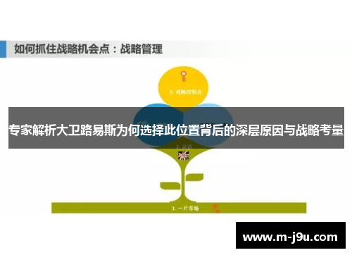 专家解析大卫路易斯为何选择此位置背后的深层原因与战略考量