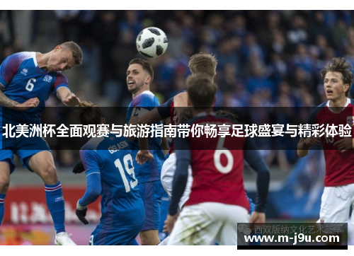 北美洲杯全面观赛与旅游指南带你畅享足球盛宴与精彩体验
