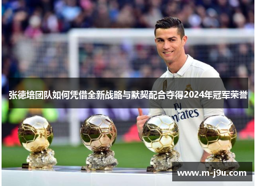 张德培团队如何凭借全新战略与默契配合夺得2024年冠军荣誉