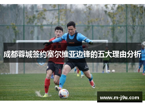 成都蓉城签约塞尔维亚边锋的五大理由分析