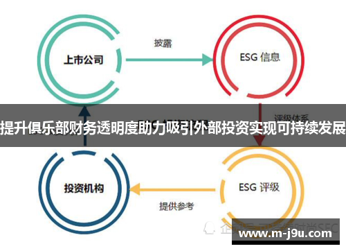 提升俱乐部财务透明度助力吸引外部投资实现可持续发展 提升俱乐部财务透明度助力吸引外部投资实现可持续发展